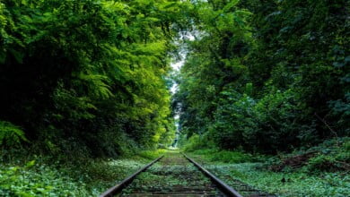 الانتحار عقاب