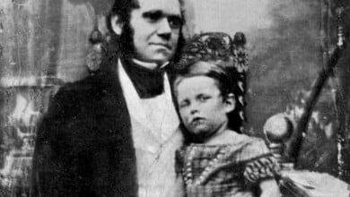 darwin and william darwin