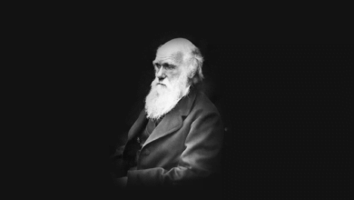 darwin atharah
