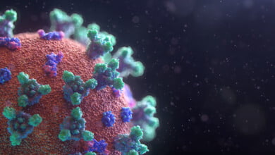 fusion medical animation EAgGqOiDDMg unsplash