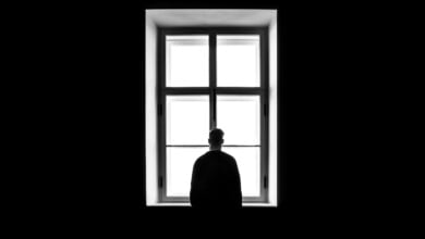 sasha freemind Pv5WeEyxMWU unsplash