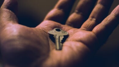 shane avery OHnvp41aDzE unsplash