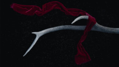 الستر الحجاب