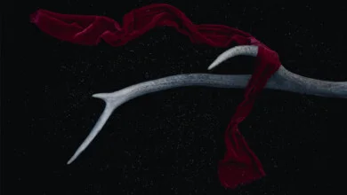 الستر الحجاب