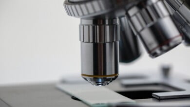 Science from economic perspective