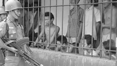 29Bevins1 superJumbo