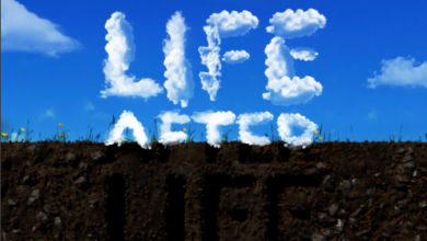 iera بعد الحياة