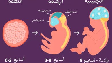 ما قبل الولادة