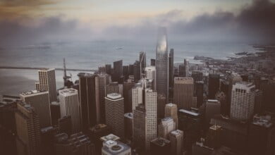 Silicon denys nevozhai