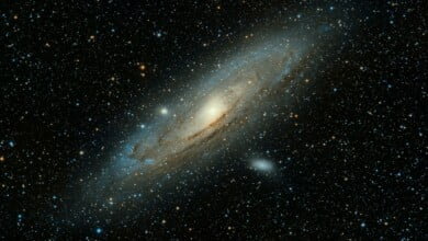 guillermo ferla Oze6U2m1oYU unsplash