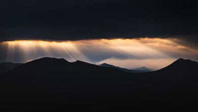 marek piwnicki w8tuuoWnEvU unsplash