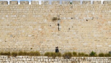 arno smit a82R0r dTSA unsplash1