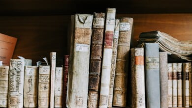 gabriella clare marino Hx8HaI4ERkA unsplash