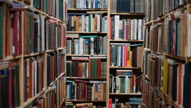 renee fisher gfKzcWb5dO0 unsplash