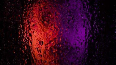 The selfish gene scaled