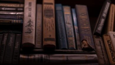 anastasiia krutota v1QCJQoD03k unsplash