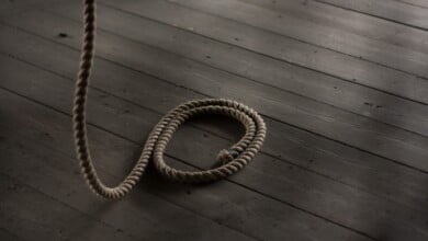 caryn sandoval 8K6Erb8mrEc unsplash