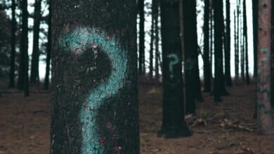 evan dennis i IN3cvEjg unsplash