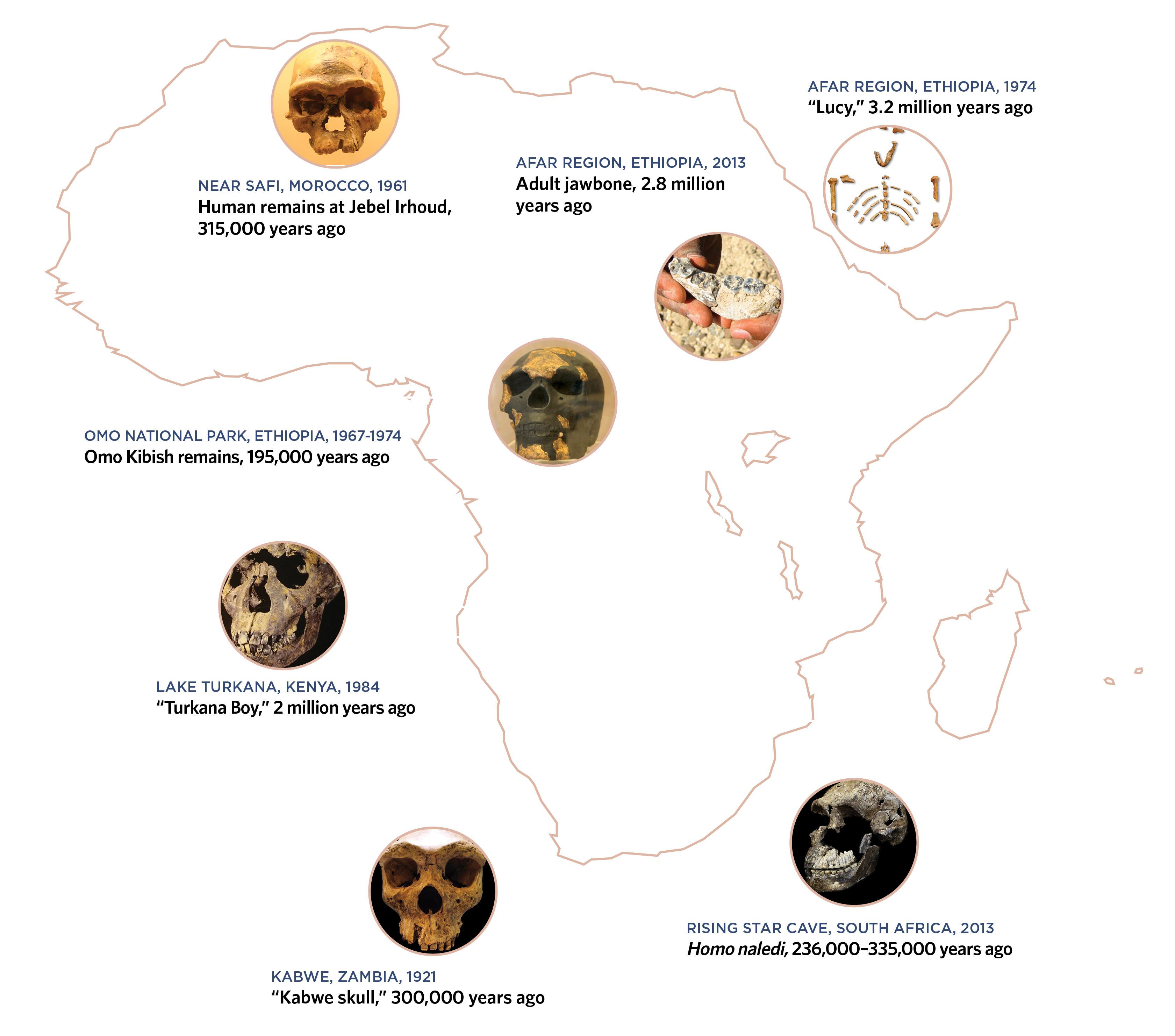 excavating a continent nobkg