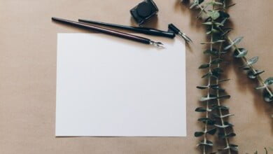 kelly sikkema Oz J FXKvIs unsplash