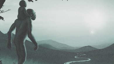 the Story of Human Origins