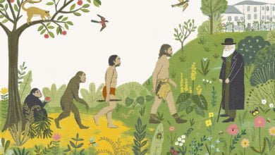 Evolution credt penguin