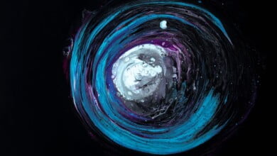 debating design from darwin to dna