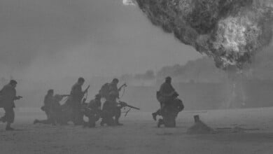 duncan kidd Cju BkSkM1k unsplash