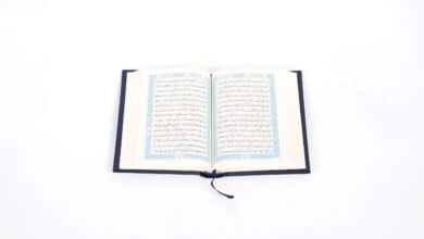 مدخل الى علم التفسير تفسير القران الكريم scaled