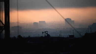oil