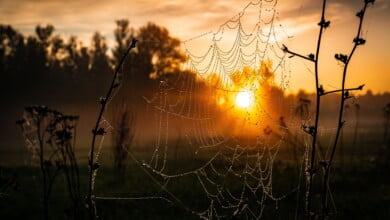 vyacheslav shatskiy F57PALp58Ws unsplash