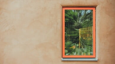 صور مجتمعية