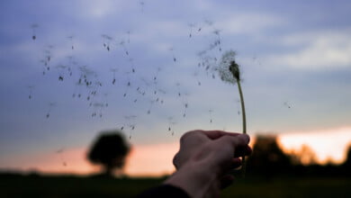 تخلص من الالم علاج نفسي