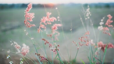 kien do NjT4O7WYmwk unsplash