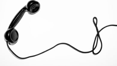 quino al 4SNUcHPiC8c unsplash