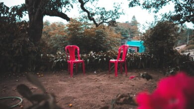 akshar dave YpHncJy 9ko unsplash