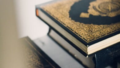 md mahdi nUuY1v3WDG4 unsplash