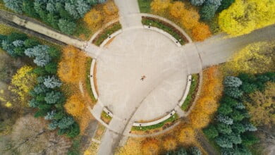 martin reisch UB8 yJNkvVc unsplash