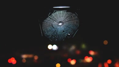 palash jain HQR DyuU3WY unsplash