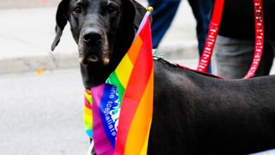 toni reed wJVNvO3GbHQ unsplash