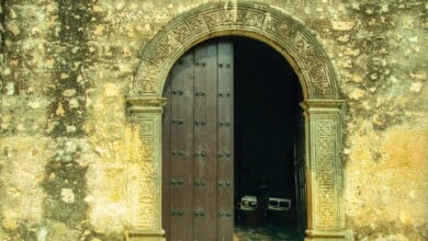 mick haupt cyolkR5Z YY unsplash