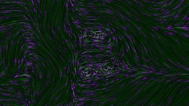 vackground com 7iq4VEHLNGU unsplash