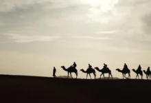 c848f08d d3a9 41f4 af88 5a35737f46cc.jpeg