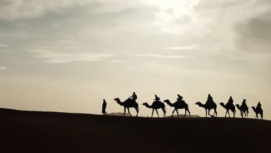 c848f08d d3a9 41f4 af88 5a35737f46cc.jpeg