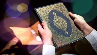 article 3sajBSQfTUo .webp 729x410